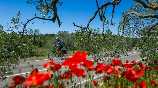 &Scaron;olta Island in Split-Dalmatia County, Croatia.
