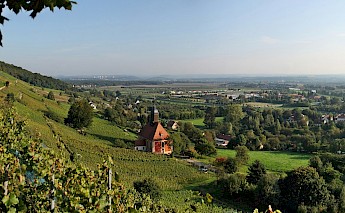 Dresden Basin, Germany. CC:Norbert Kaiser