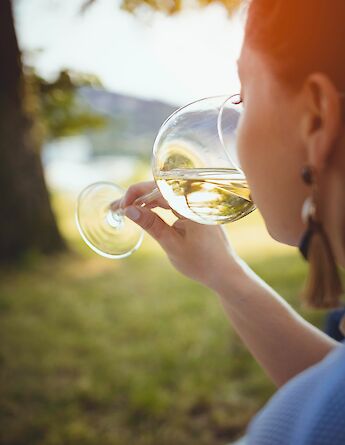 Wine tasting in the Czech Republic. Alesmaze@Unsplash