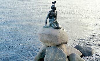 Bird perched on the Little Mermaid statue, Copenhagen, Denmark. Unsplash:Rafa G Bonilla