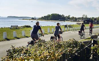 Cyclists riding along a coastal path with views of the sea on a sunny day in Denmark. The path is lined with greenery and white posts, offering a scenic ride.