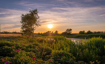 Nyborg on the island of Funen, Denmark. Seiya Ishibashi@Flickr