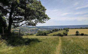 Cotswolds Countryside, England. Sint Linuza@Unsplash