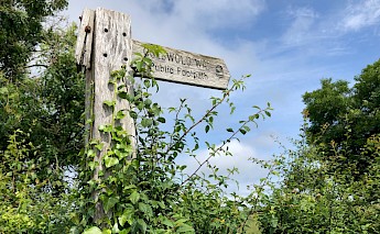 Cotswolds, United Kingdom. Reddot@Unsplash