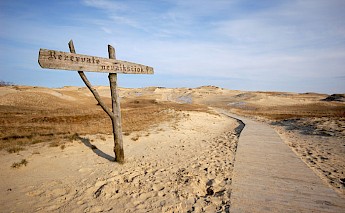 Curonian Spit - a natural wonder. CC:Kontis Satunas