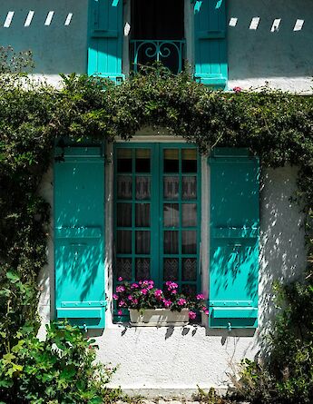 Flowers on a window ledge, Talmont-sur-Gironde, France. Unsplash:Lau Clrd