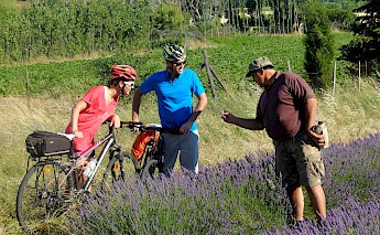 Provence & the Rhone Valley Bike Tour