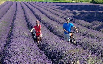Provence & the Rhone Valley Bike Tour