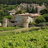 Wine estate in Provence, France. CC:Office de tourisme gigondas dentelles de montmirail