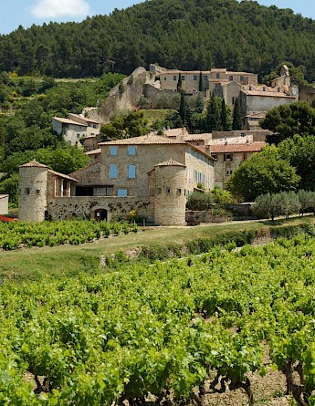 Wine estate in Provence, France. CC:Office de tourisme gigondas dentelles de montmirail