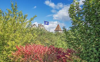 Church tower above the bushes, Via Rhona. Unsplash:Free Nomad