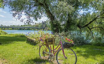 Bike with flowers, Via Rhona. Unsplash:Free Nomad