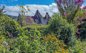 House and flowers, Via Rhona. Unsplash:Free Nomad