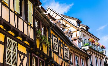 Close-up of colorful, traditional half-timbered houses with vibrant green plants and flower pots, set against a clear blue sky in Colmar, France.