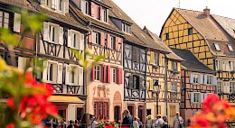 Alsace Wine Country