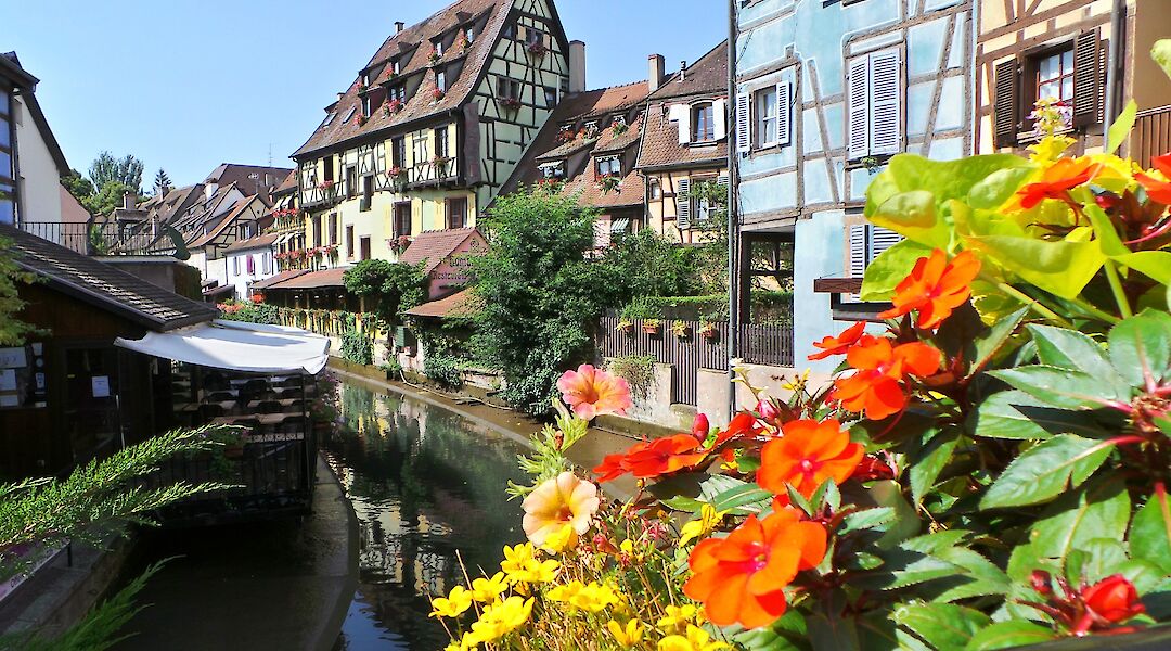 Colorful canal-side houses and flowers in Colmar, Alsace, known as the “Little Venice”.
