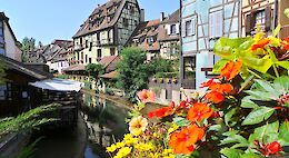 Alsace Wine Country