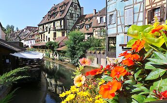 Colorful canal-side houses and flowers in Colmar, Alsace, known as the “Little Venice”.