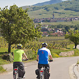 Two cyclists on a picturesque road surrounded by vineyards and a village in the distance in Alsace.