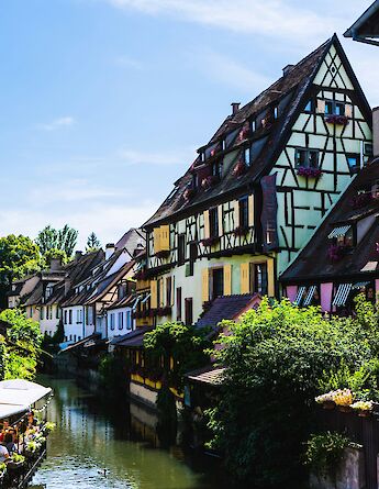 A row of colorful half-timbered houses along a canal in Colmar, France, with greenery and a few people on a nearby walkway.