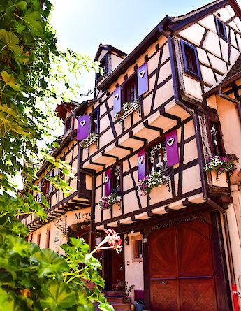 A traditional half-timbered house with purple shutters and flower boxes in Riquewihr, Alsace, France.