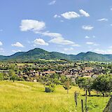 Panoramic view of Riquewihr in Alsace, France, with rooftops and the Vosges Mountains in the background under a blue sky.
