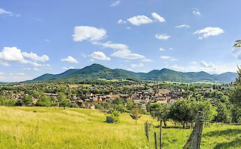 Panoramic view of Riquewihr in Alsace, France, with rooftops and the Vosges Mountains in the background under a blue sky.