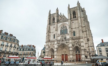Cathedrale Saint Pierre et Saint Paul de Nantes, France. Steven Roussel, Unsplash