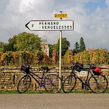Burgundy Wine Trails
