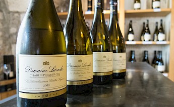 Chablis in Burgundy, France. Anna & Micha@Flickr