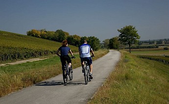 Burgundy Wine Trail Bike Tour