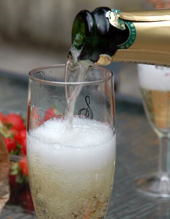 Local French champagnes! Pug Girl@Flickr