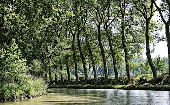 Canal Du Midi, France. Steve Douglas, Unsplash