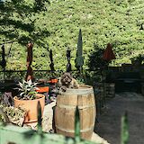 A dog lying on a wine barrel in Saint Guilhem le Désert, France. Unsplash:Romain Galoche