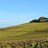 Champagne Region of France Bike Tours