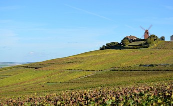 Champagne Region of France Bike Tours