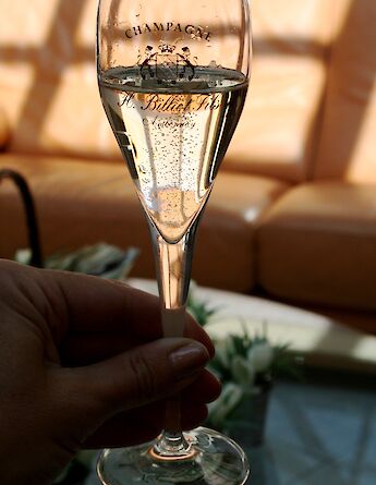 Champagne tasting in Épernay, France. Megan Cole@Flickr
