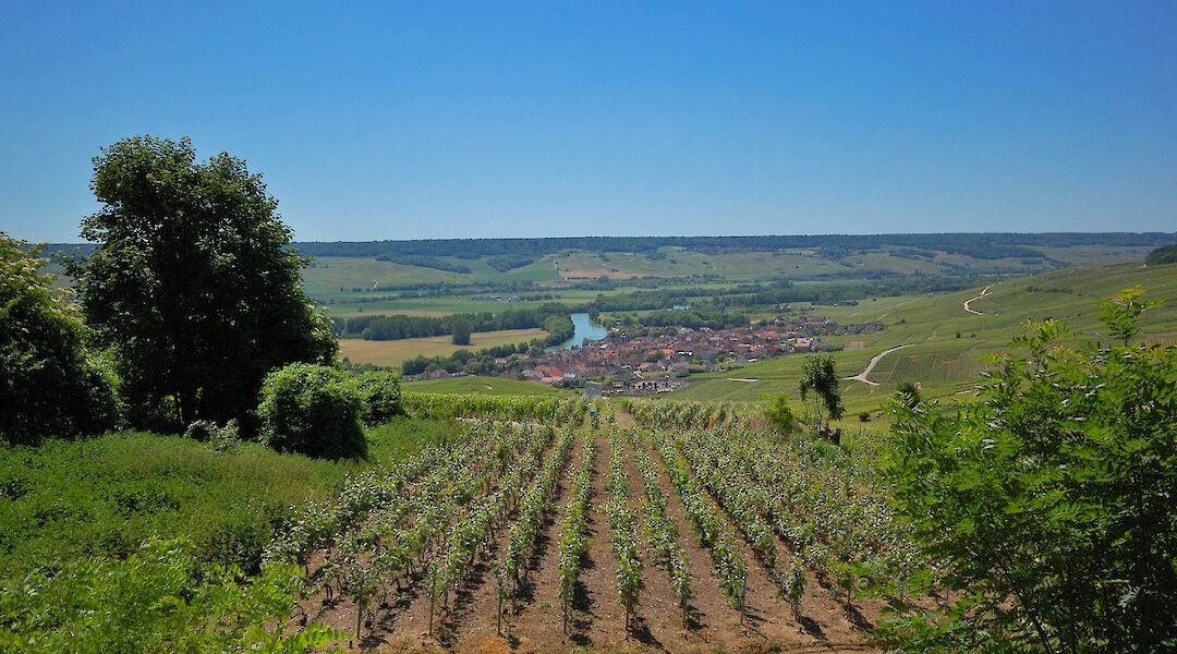 Épernay in the Champagne region of France. Random_fotos@Flickr