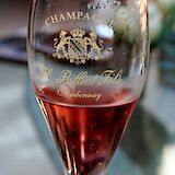 Champagne tasting in Épernay, France. Megan Cole@Flickr