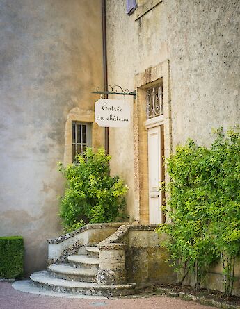 Les Jardins de Marqueyssac, Dordogne, France. Unsplash:Aurora Borealis