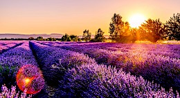 Provence’s History, Landscapes, and Luberon National Park