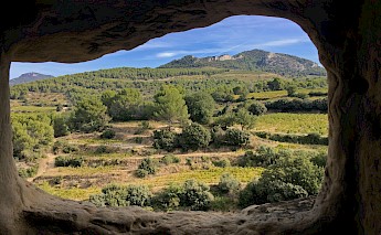Beaume de Venise, France. Thomas MARCHAND@Unsplash