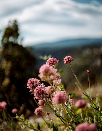 Mont Ventoux, France. Adrien Delforge@Unsplash