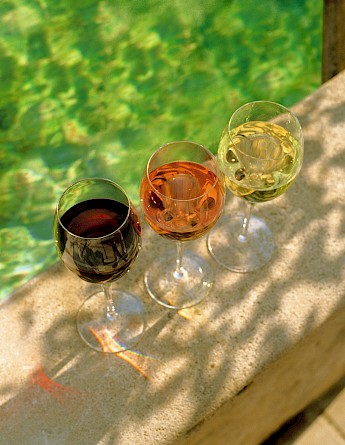 Wine tasting in France! vinhosprovence@Flickr