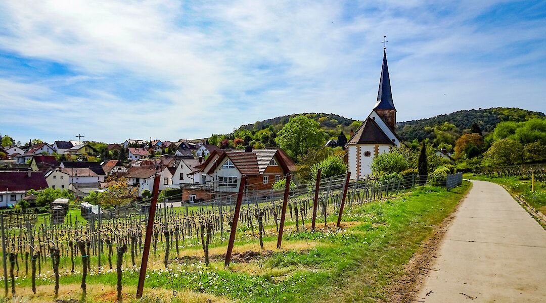 Church and vineyard, Strasbourg to Mainz. CC:TO