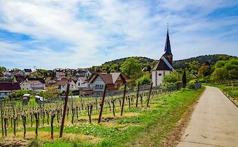 Church and vineyard, Strasbourg to Mainz. CC:TO