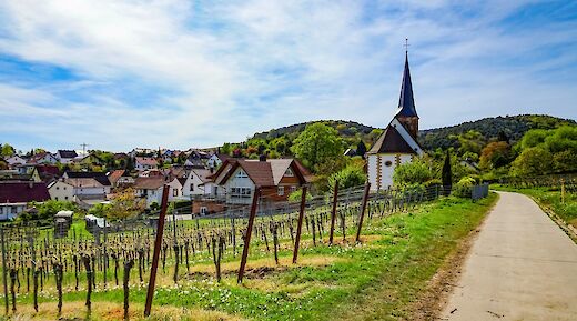 Church and vineyard, Strasbourg to Mainz. CC:TO