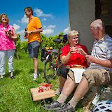 Picnic in a vineyard, Strasbourg to Mainz. CC:TO