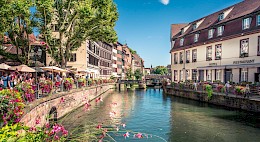 Strasbourg to Mainz: Imperial Cities and Charming Landscapes Along the Rhine