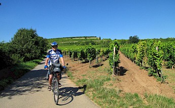 Strasbourg to Mainz: Imperial Cities and Charming Landscapes Along the Rhine Bike Tour